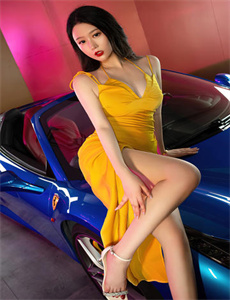 完美的世界